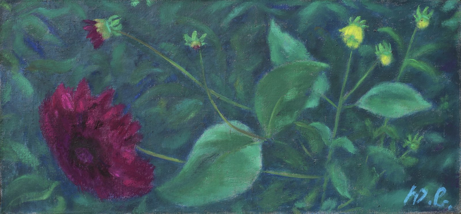 Dahlien