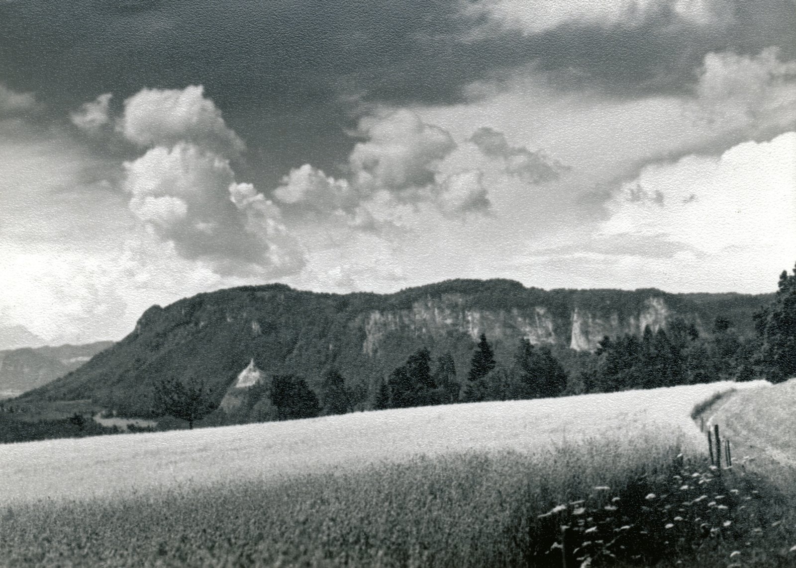 Rutarhof-Felder