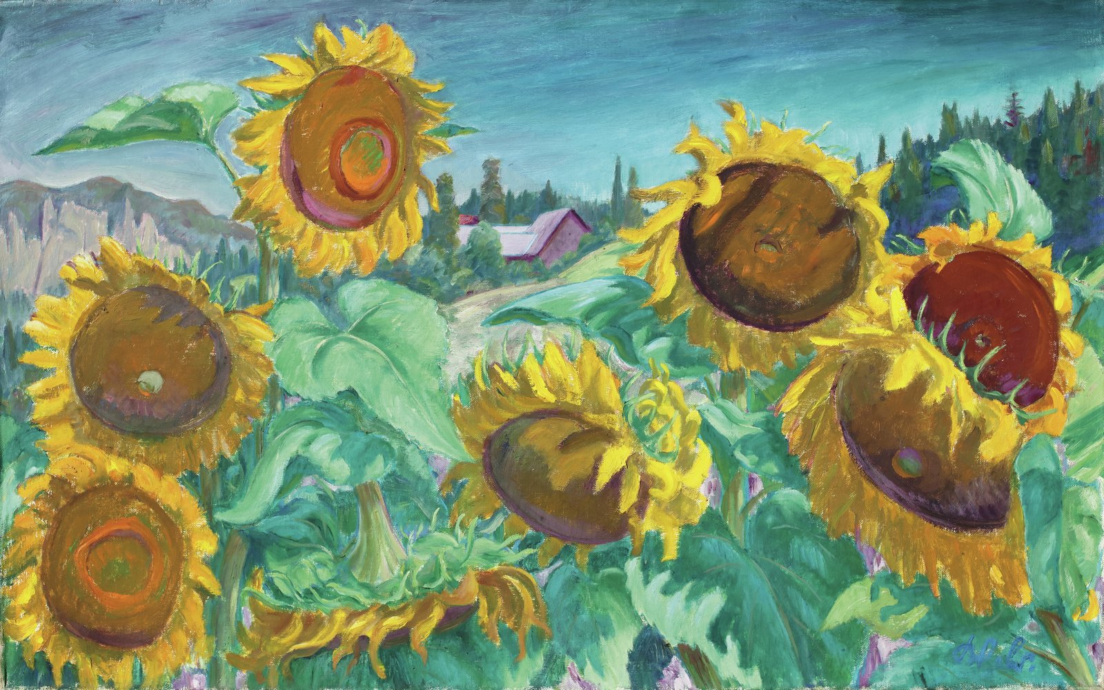 Sonnenblumen