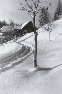 Rutarhof im Winter