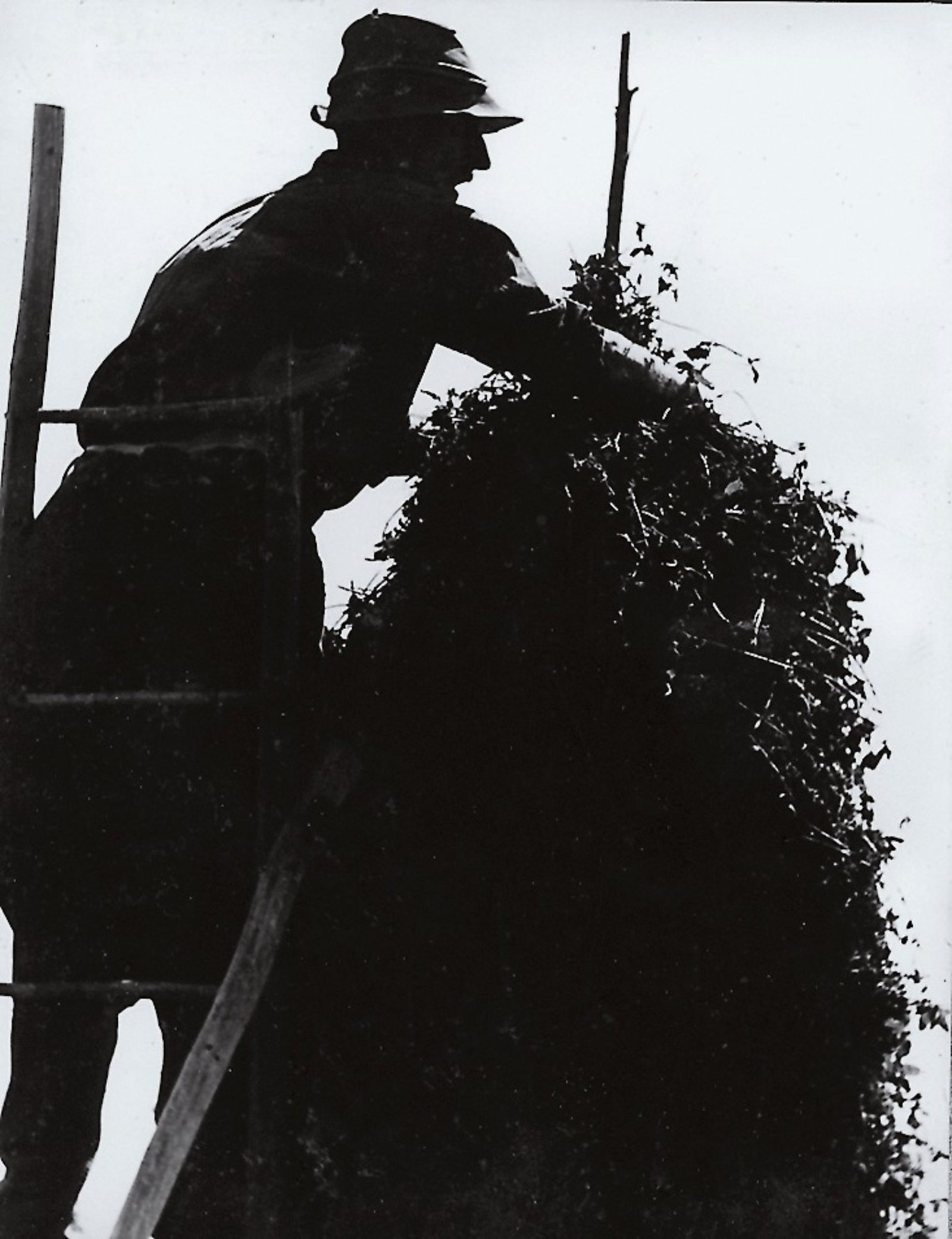 Rutarhof, Herr "Pacher" bei der Arbeit 