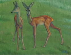 Rehe