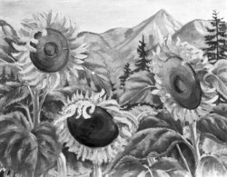 Sonnenblumen und Obir