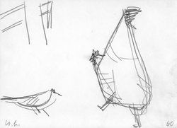 Huhn und Vogel