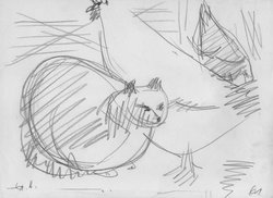 Katze und Hühner